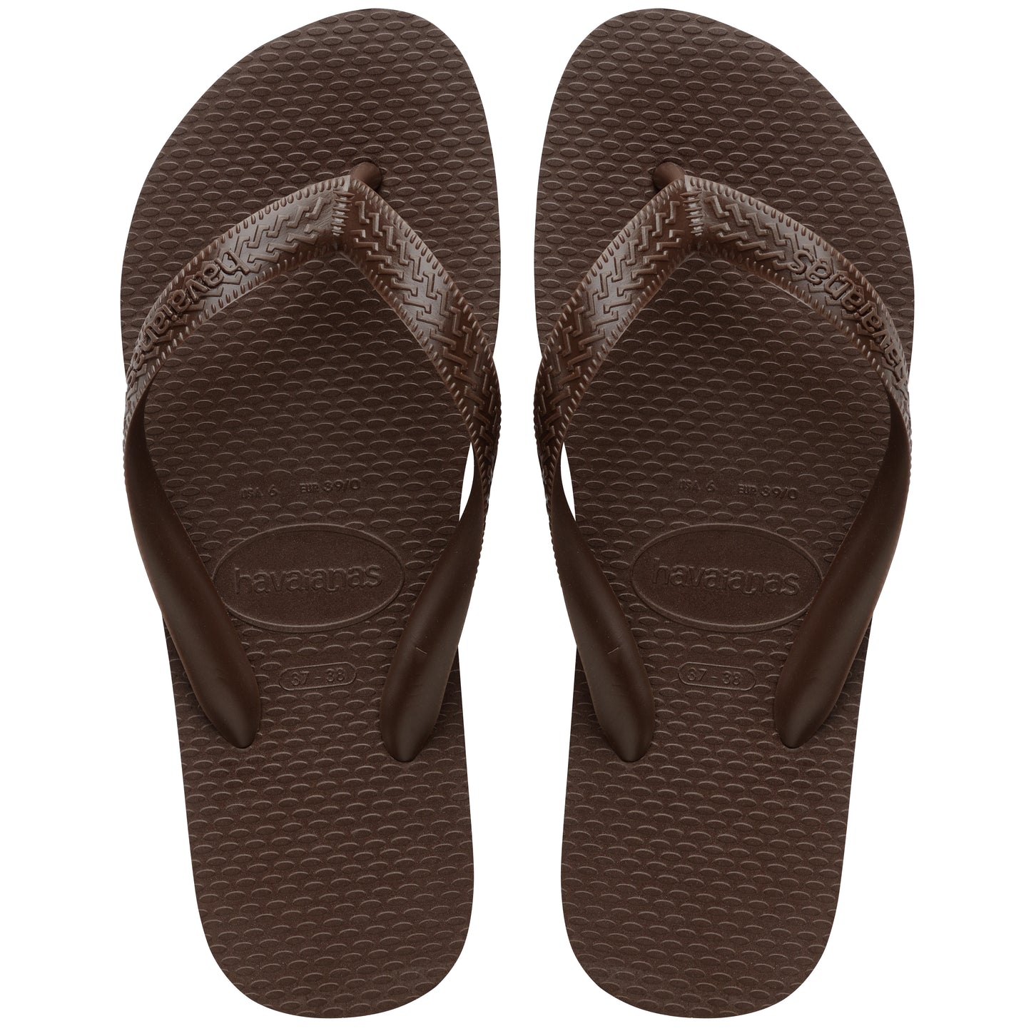 Havaianas Color Dark Brown